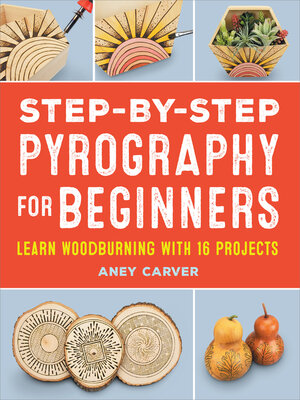 cover image of Step-by-Step Pyrography for Beginners